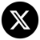 X Icon